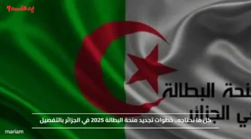 كل ما تحتاجه.. خطوات تجديد منحة البطالة 2025 في الجزائر بالتفصيل